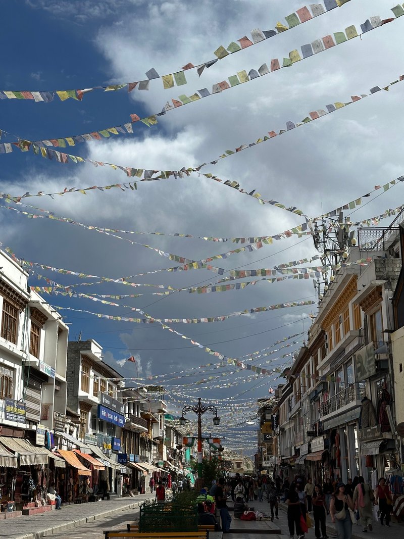 Ladakh, India - August 2024