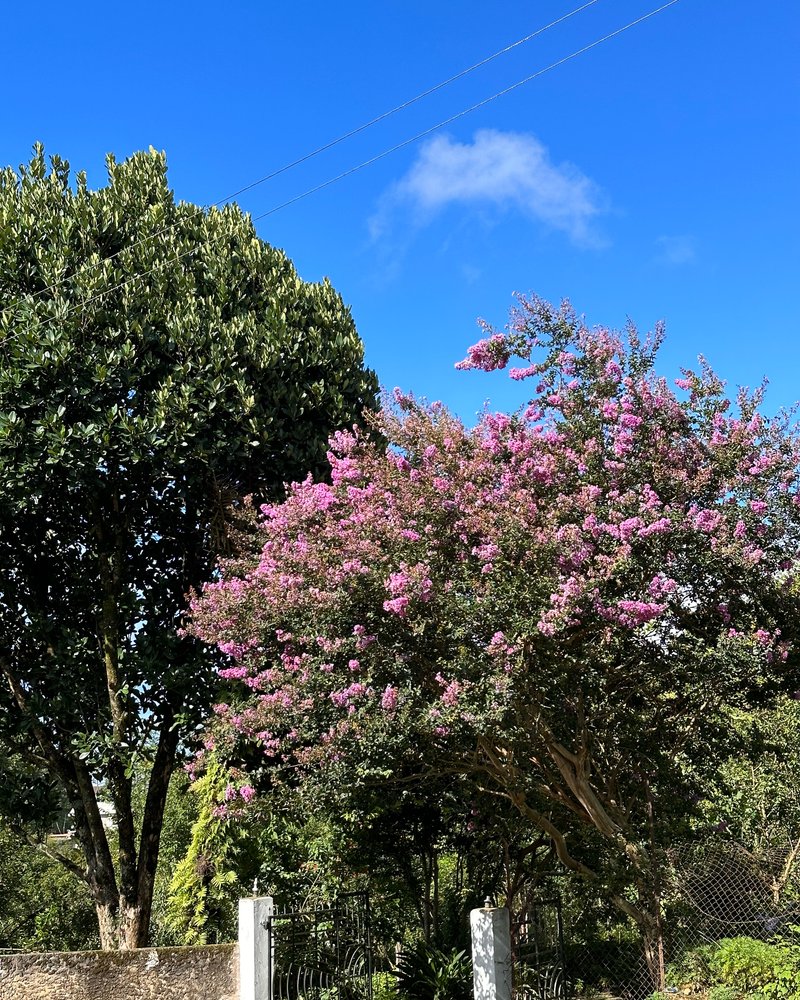 Meghalaya, India - July 2023