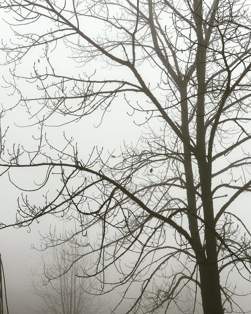 Sikkim, India - December 2022